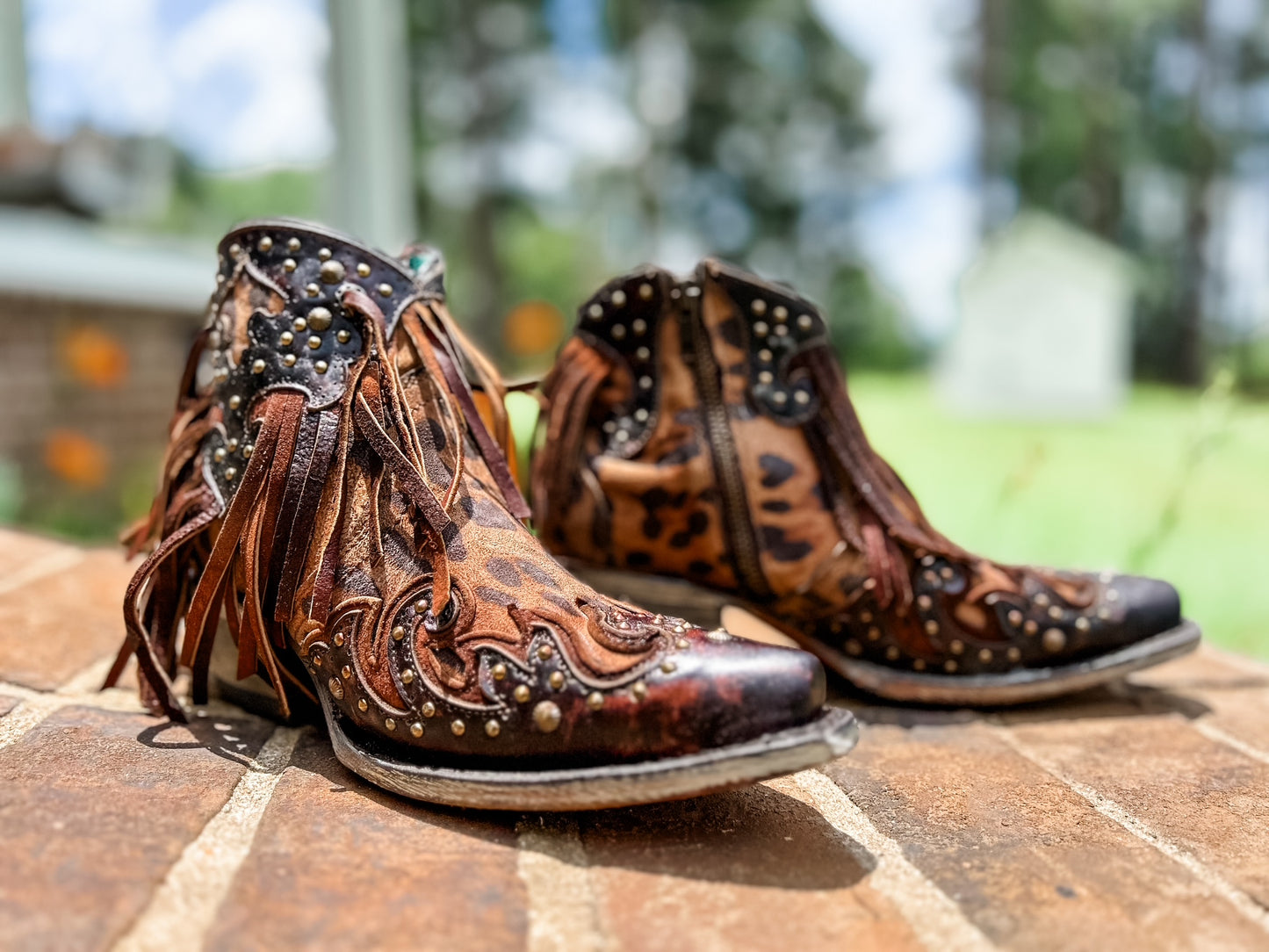 Shorty Leopard Ankle Boots A4280