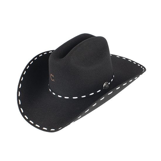 Charlie 1 Horse Bucksnort In Black