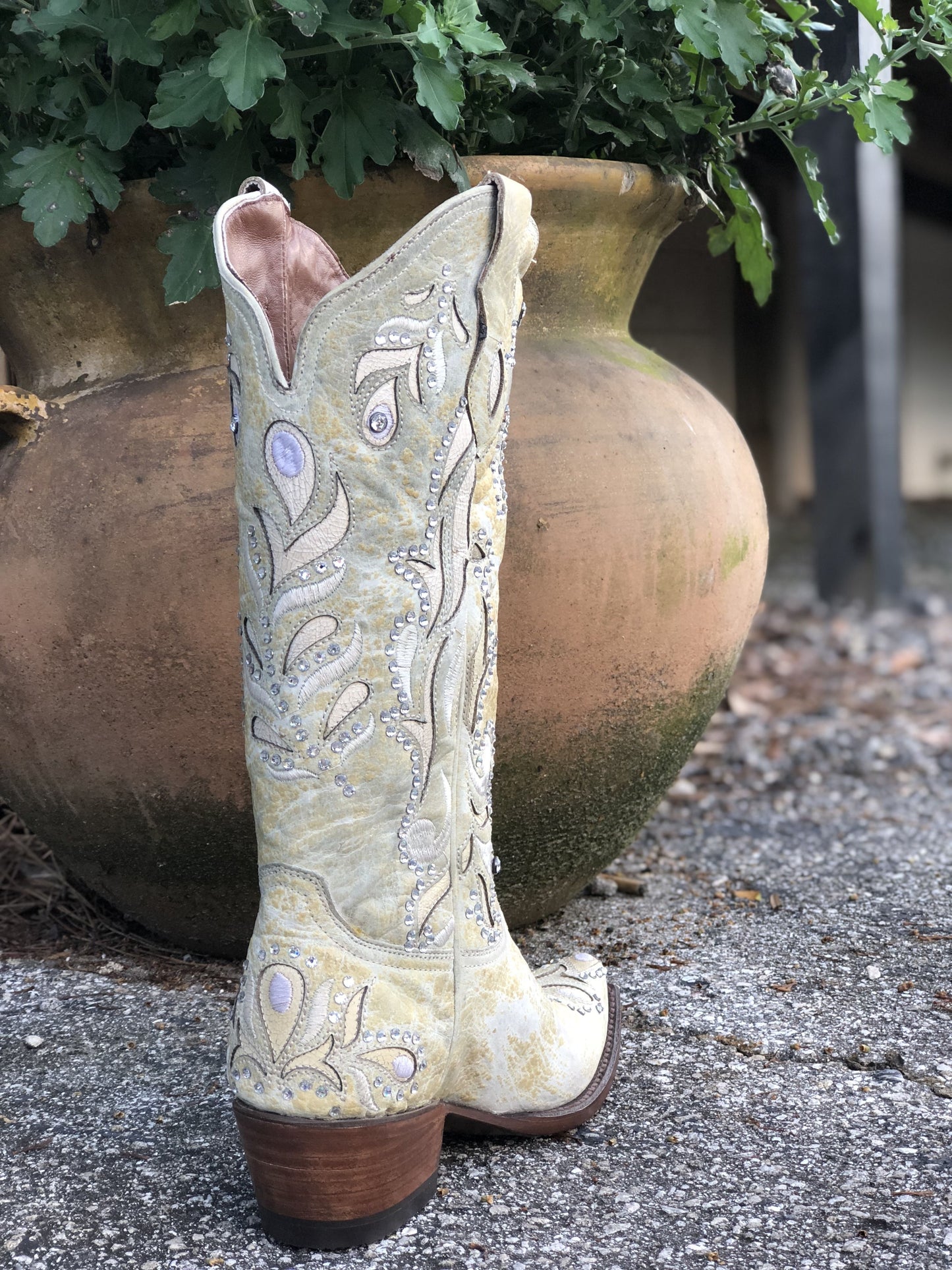 Denver Mountain Boots Peacock Ivory Boots
