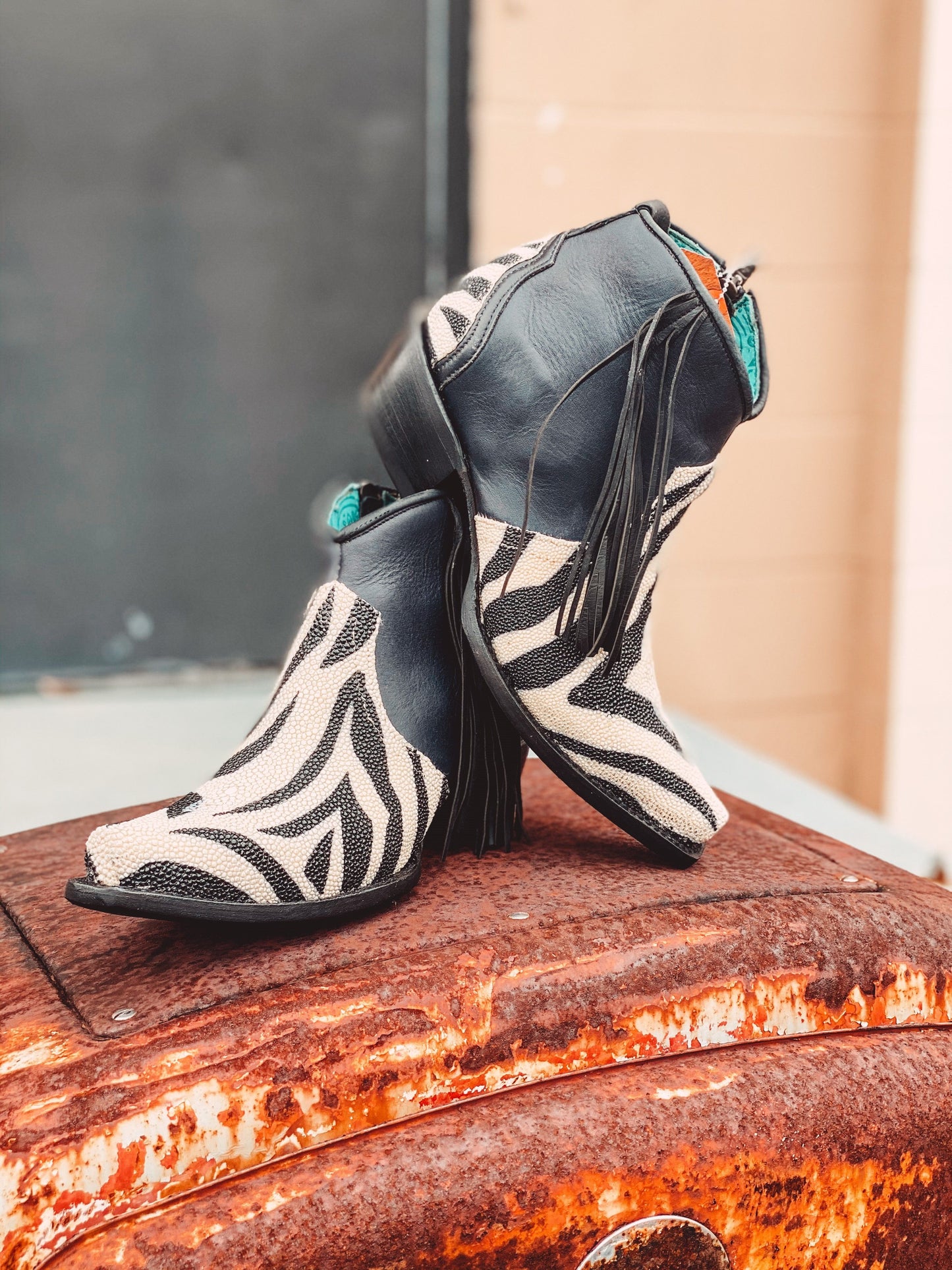 Corral Stingray Zebra Print Fringe Bootie