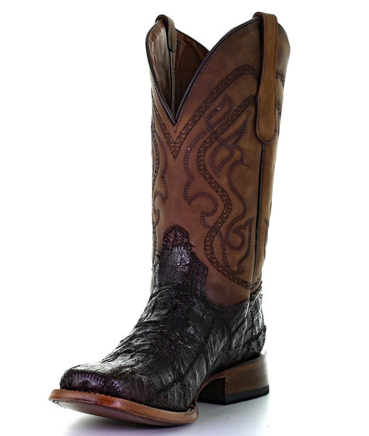Men's Cinnamon Caiman Patch Work Boot By Circle G L5735